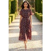 Roman Women's Polka Dot Pleat Neck Midi Dress in Brown | Size: 12