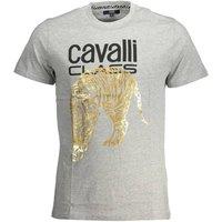 Cavalli Class Men's Tiger Graphic Tee in Light Grey | Size: XL