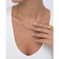Elk & Bloom Women's Dainty Chain 14K Gold Choker Necklace