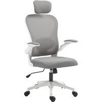 Rolipo Ergonomic Mesh Executive Office Chair With Lumbar Support & Headrest in Grey