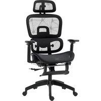 Rolipo Mesh Multi-Adjustable Office Chair in Black