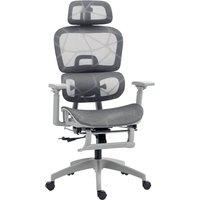 Rolipo Mesh Multi-Adjustable Office Chair in Grey