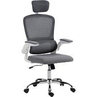 Rolipo Mesh Office Chair With Lumbar Support in Grey
