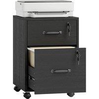 Rolipo 2-Drawer Mobile Filing Cabinet With Letter Hanging File Storage in Black