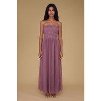 Oasis Women's Petite Mini Bow Bandeau Mesh Bridesmaid Maxi Dress in Mauve | Size: 16