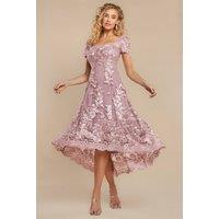 Goddiva Women's Scalloped Neck Embroidered Lace High Low Midi Dress in Pink | Size: 10