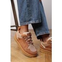 Where's That From Women's 'Darcy' Suede Lace-Up Trainers with Chunky Sole & Mesh Panel in Brown | Size: 3