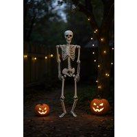 Garden Sanctuary Halloween Realistic Full Body Skeleton Prop Decoration Posable Joints in White