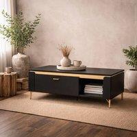 Wyld Haus Marslet Narrow Coffee Table Black & Gold 1 Drawer