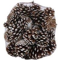 KDMD White Tipped Nigra Cones 1kg