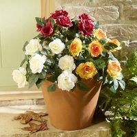 Coopers of Stortford Artificial Rose Picks, Set of 3, H30cm