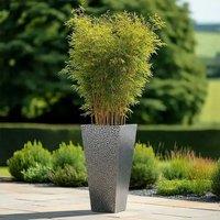Access Garden Products 70cm Zinc Galvanised Silver & Black Textured Tall Tapered Square