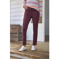 WoolOvers Women's Cotton Straight Leg Cord Jeans in Plum | Size: 22R