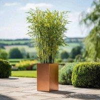 Access Garden Products 50cm Zinc Galvanised Copper Tall Square Planter