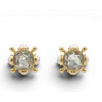 Michael Nash Jewelery Women's Monica Crystal & Pearl Pierced Sputnik Earrings
