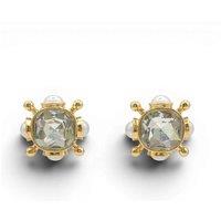 Michael Nash Jewelery Women's Monica Crystal & Pearl Clip On Sputnik Earrings