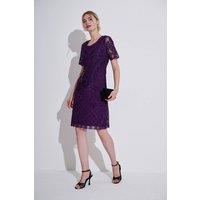 Klass. Women's Cornelli Sequin Mesh Shift Dress in Purple | Size: 16