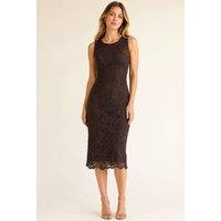 AVINCI Women's Chocolate Brown Floral Lace Bodycon Midi Dress | Size: 14