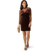 Adrianna Papell Women's Velvet Lace Shift Dress in Brown | Size: 12