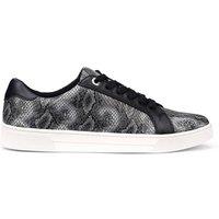 Hotter Women's 'Eve' Snake Print Trainers in Black | Size: 7