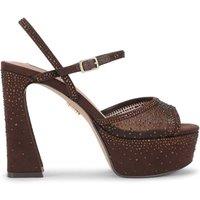 STEVE MADDEN Women's 'Maricela Brown' Heels in Brown | Size: 8