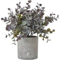 KDMD Small Eucalyptus Cinerea Plant in Grey Pot - Faux Indoor Decor