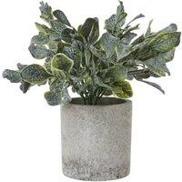 KDMD Small Giana Eucalyptus Plant in Grey Pot - Realistic Faux Decor