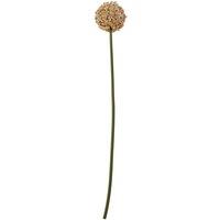 KDMD Pink Allium Stem - Realistic Faux Floral Decor | Hill Interiors