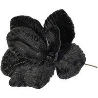 KDMD Black Velvet Magnolia Dia20cm 3 Pack