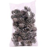 KDMD Frosted Pine Cones 1kg Grey Dried