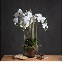 KDMD Elegant Large White Orchid in Glass Pot - Faux Flower for Decor