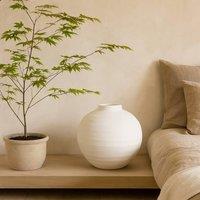 Wyld Haus Sunvale Matt White Round Ceramic Vase