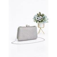 Fontanella Fashion Women's Delicada Diamond Embellished Clutch Evening Bag in Silver