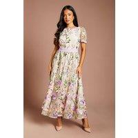 Coast Women's Petite Lace Trim Detail Embroidered Mesh Midi Dress in Blush | Size: 4