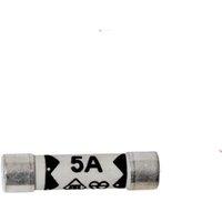 Securpak 5A Fuses (Pack of 3) in Silver