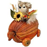 KDMD Squirrel in a Pumpkin Car 15cm in Orange