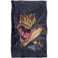 JQ Licensing - Jlo T-Rex Ripping Dinosaur Silky Touch Super Soft Throw Blanket | Size: Large