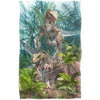JQ Licensing - Royce Mcclure Bad Raptor Dinosaurs Silky Touch Super Soft Throw Bla | Size: Large