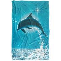 JQ Licensing - Royce Mcclure Dolphin Sun Silky Touch Super Soft Throw Blanket | Size: Large
