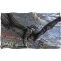Lord of the Rings Fellbeast Painting Silky Touch Super Soft Throw Blan | Size: Large