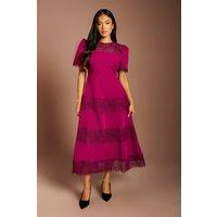 Coast Women's Petite Lace Trim Crepe Dress in Berry | Size: 10