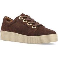 Hush Puppies Women's Tamsin Suede Trainer in Chocolate | Size: 8