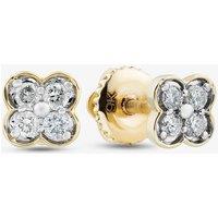 T.H.Baker Women's 9ct Yellow Gold 0.12ct Diamond Flower Stud Earrings THE46493-12