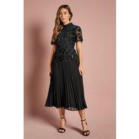 Coast Women's Velvet Cutwork Lace Midi Dress With Contrast Collar in Black | Size: 14