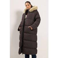 Yours Women's Faux Fur Trim Padded Puffer Coat in Chocolate | Size: 34-36