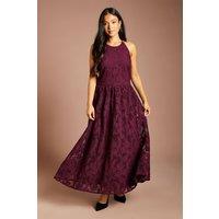 Coast Women's Petite Halterneck Lace Midi Dress in Fig | Size: 10