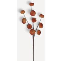 Stella Graham Pumpkin Autumnal Branch Decoration, Orange, 30 x 6 cm in Orange