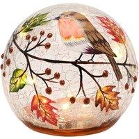 Country Living Autumn Robin LED Light Up Orb in Clear