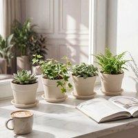 PAWNORA Cream white 4pcs Mini Plant Pots with Drainage Hole