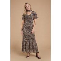 Dorothy Perkins Women's DP Luxe Double Flutter Sleeve Tie Detail Printed Maxi Dress in Leopard | Size: 14
